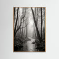 Oak Nature Coastal Serenity
