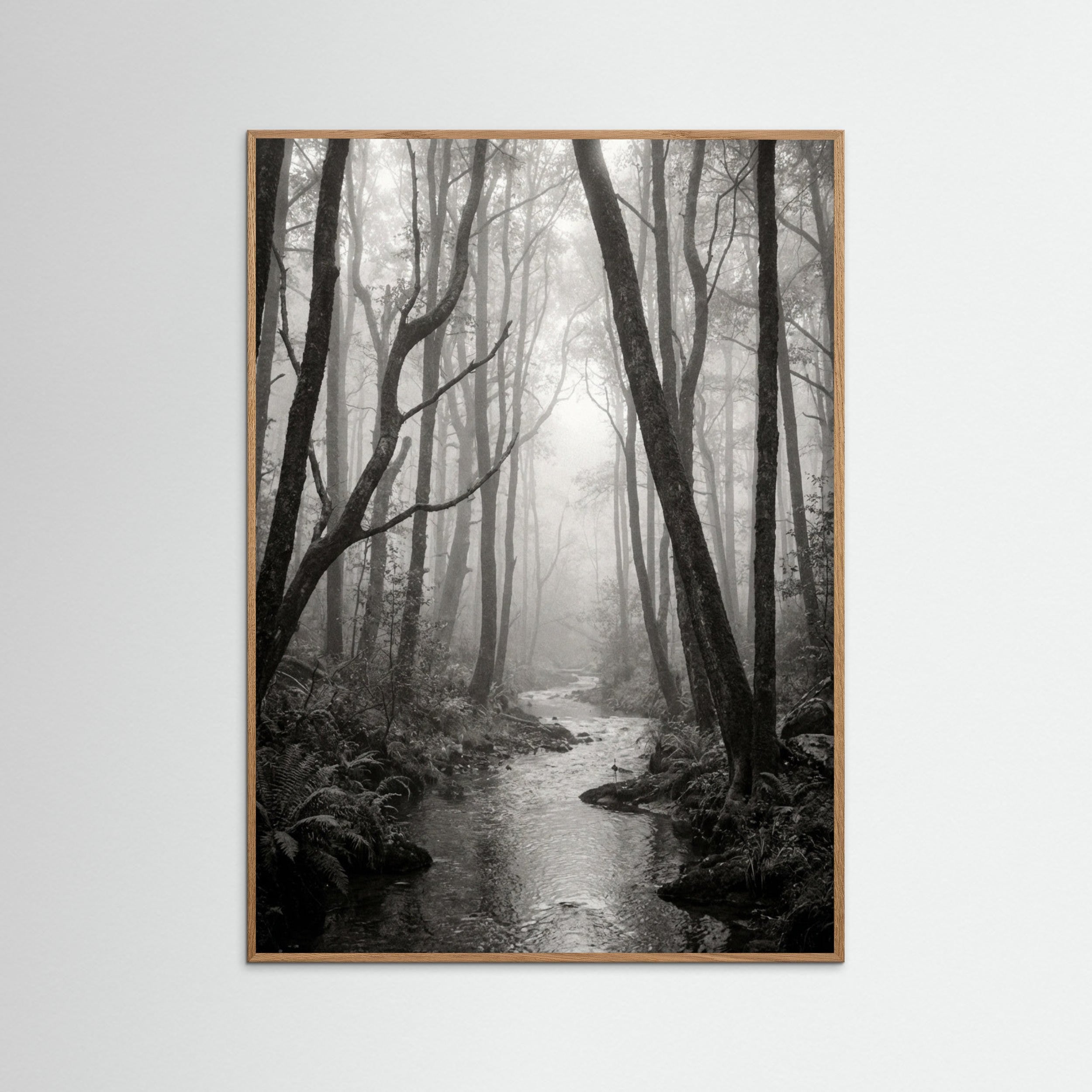 Oak Nature Coastal Serenity
