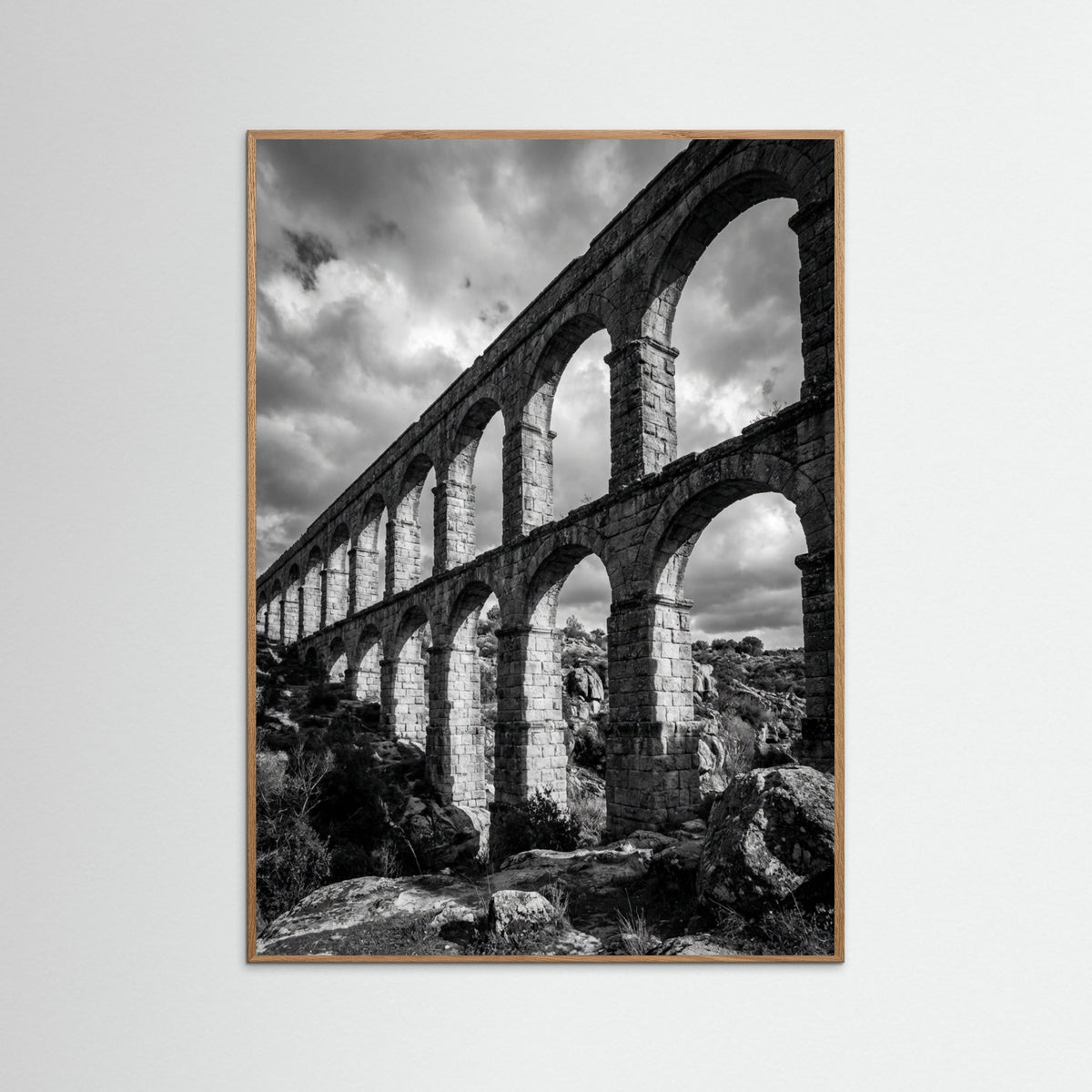 Oak Nature Coastal Serenity