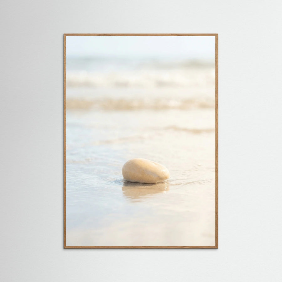 Coastal Serenitys