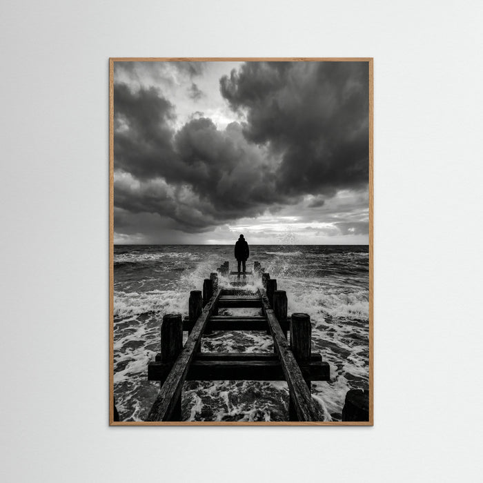 Oak Nature Coastal Solitude