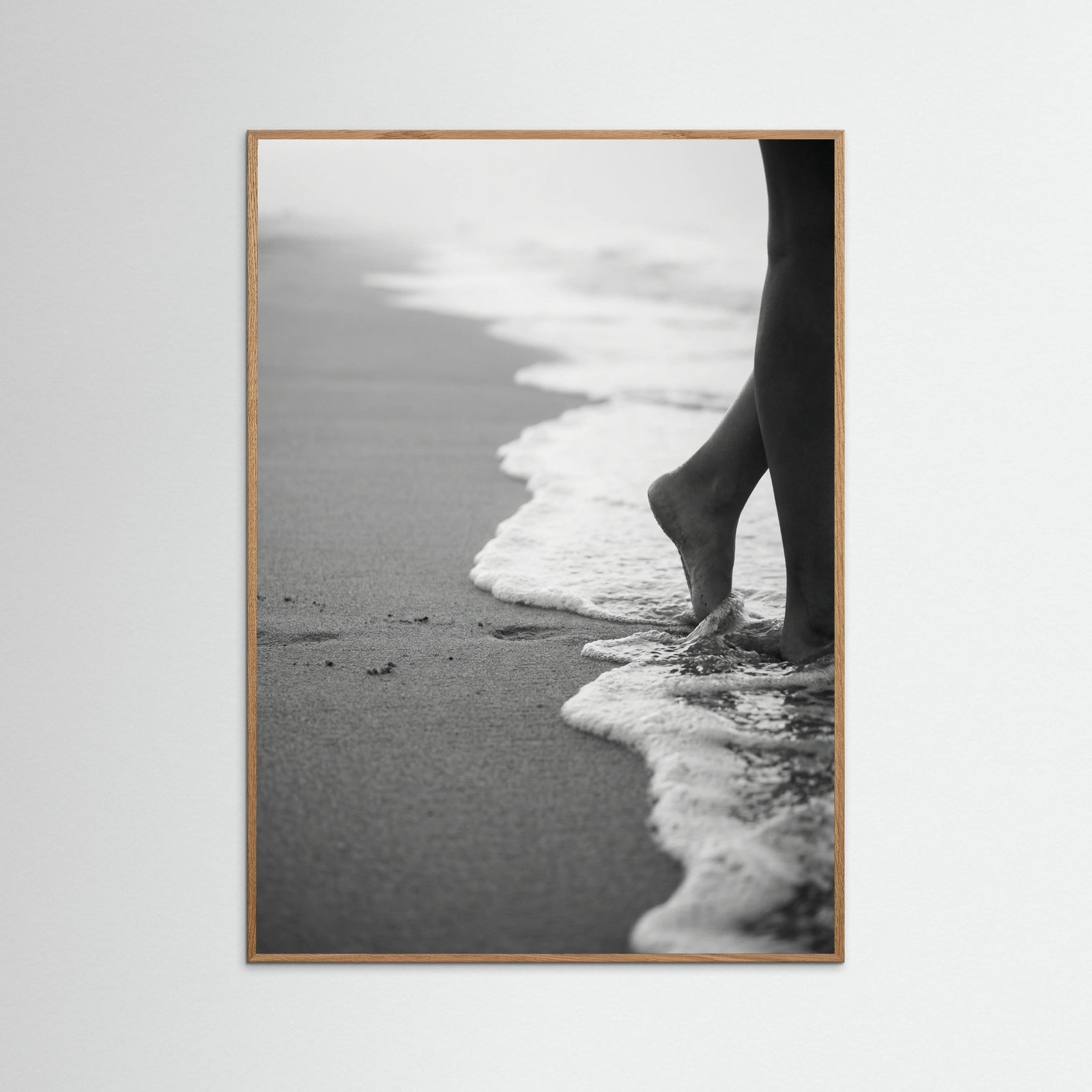 Oak Nature Coastal Wanderer