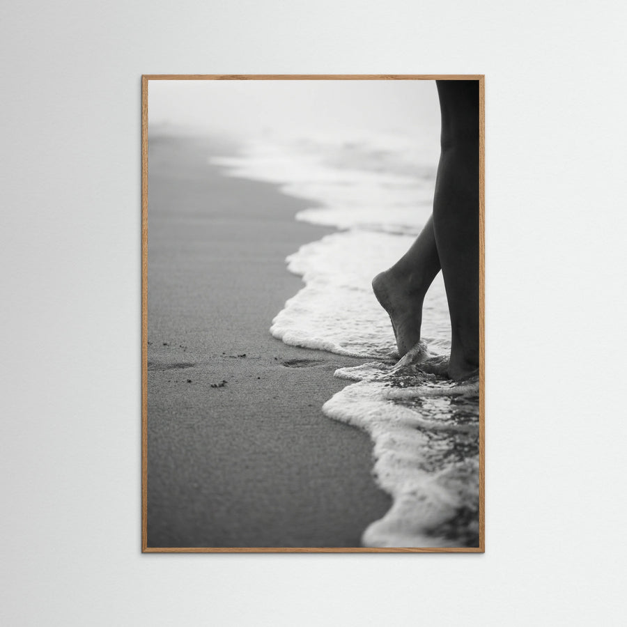 Coastal Wanderer