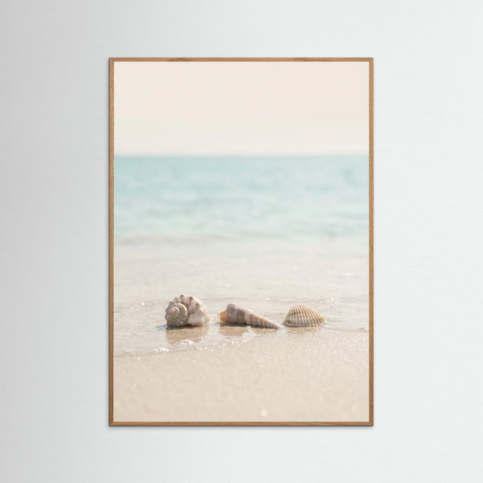 Oak Nature Coastals Serenity