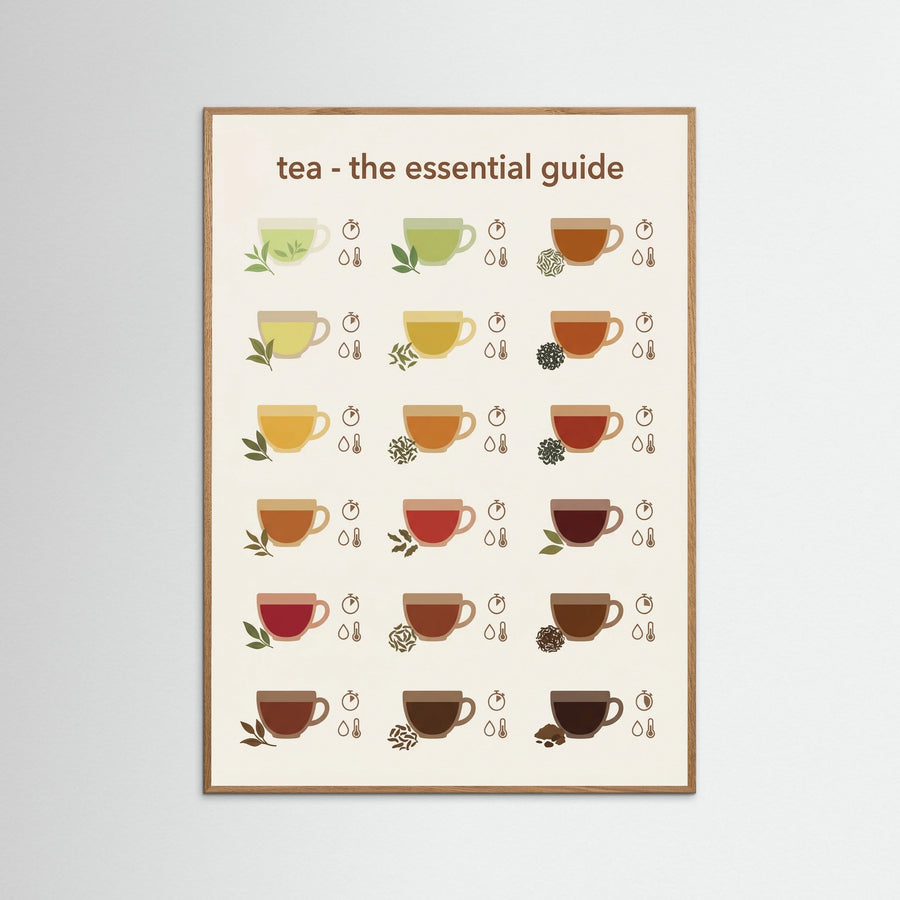 Coffee Brew Guide