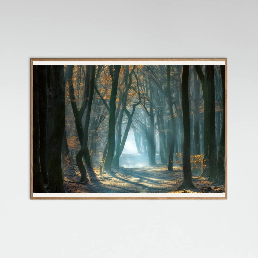 Cold Light Poster – poster and art print