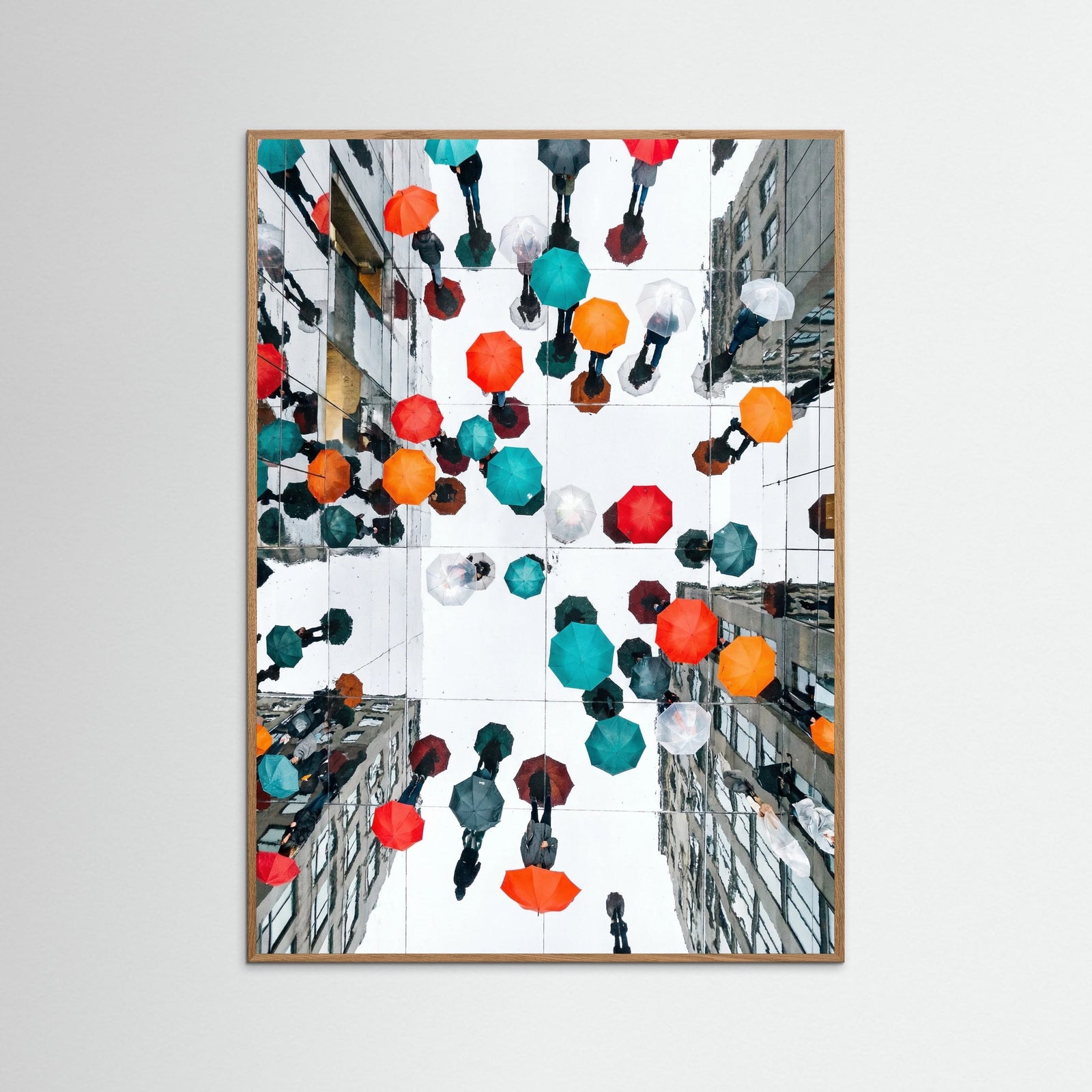 Oak Nature Colorful Rain Promenade