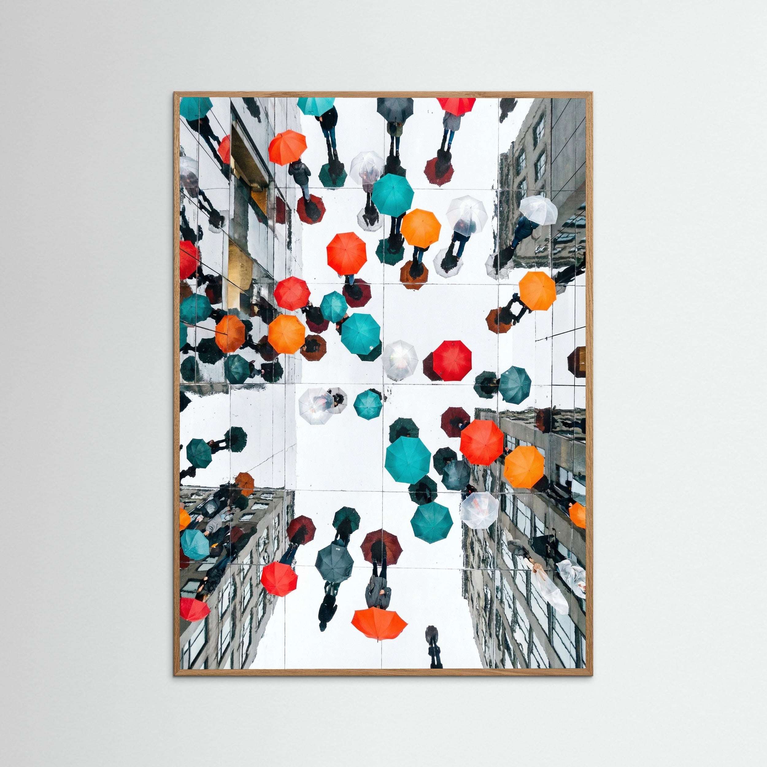 Oak Nature Colorful Rain Promenade