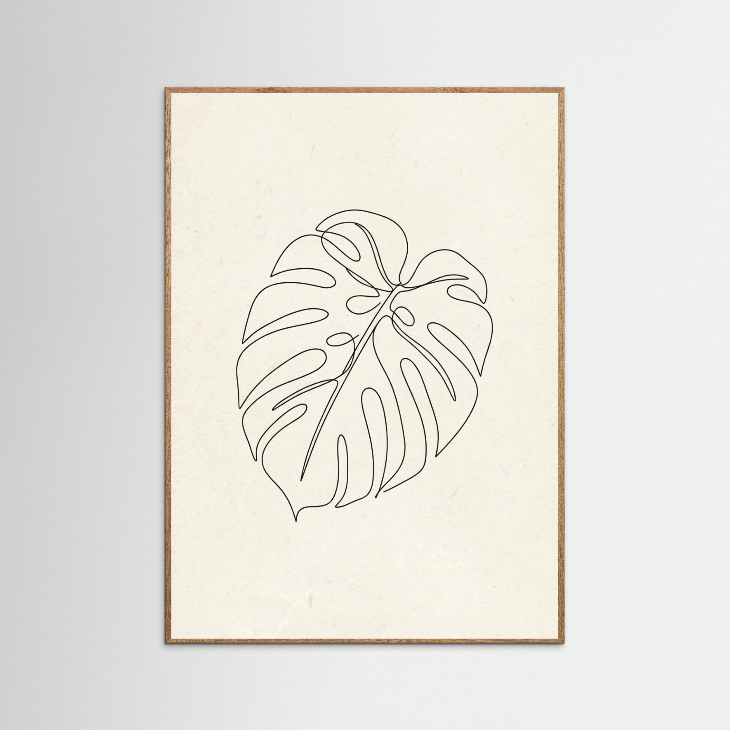 Oak Nature Contour Gaze