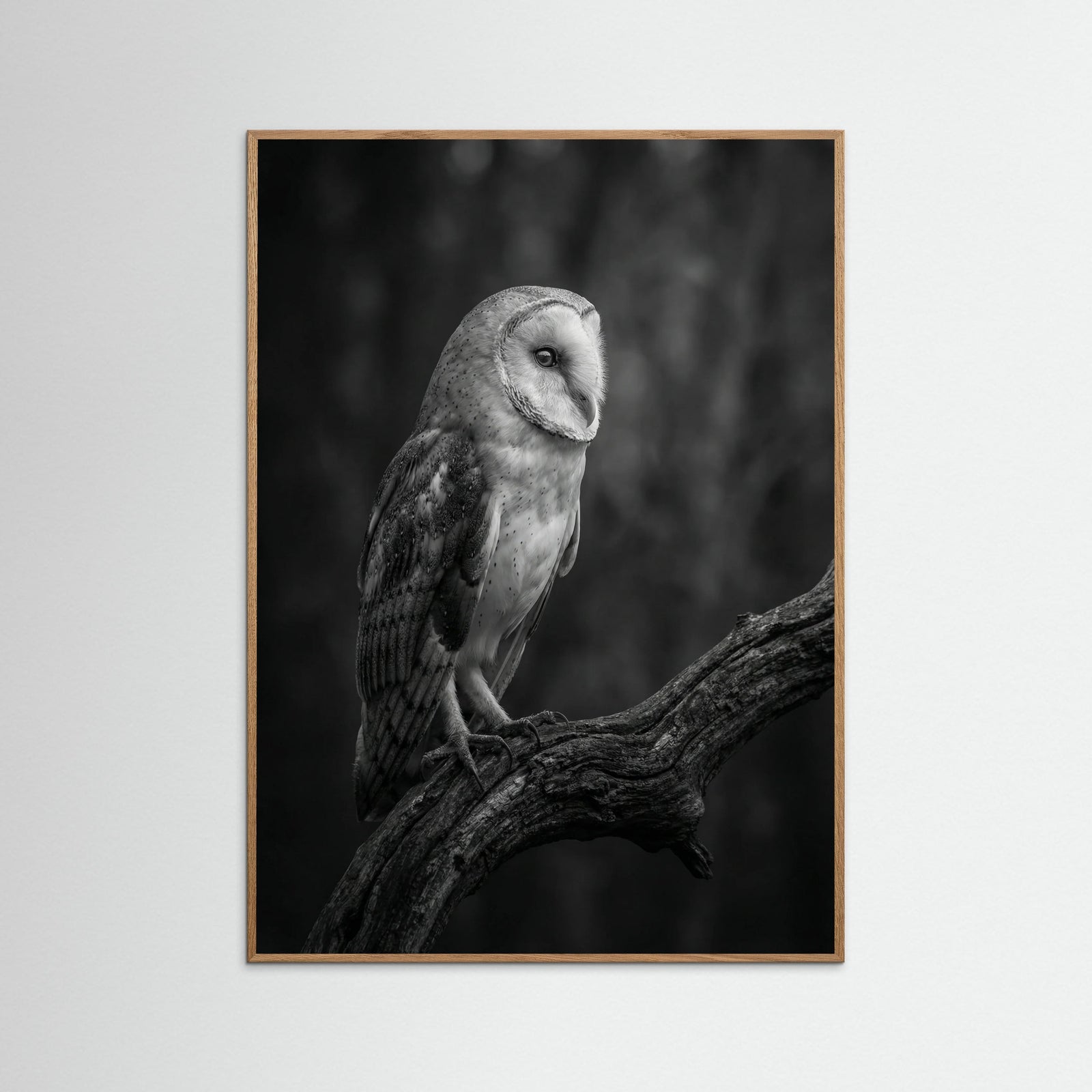 Oak Nature Contrasting Companions