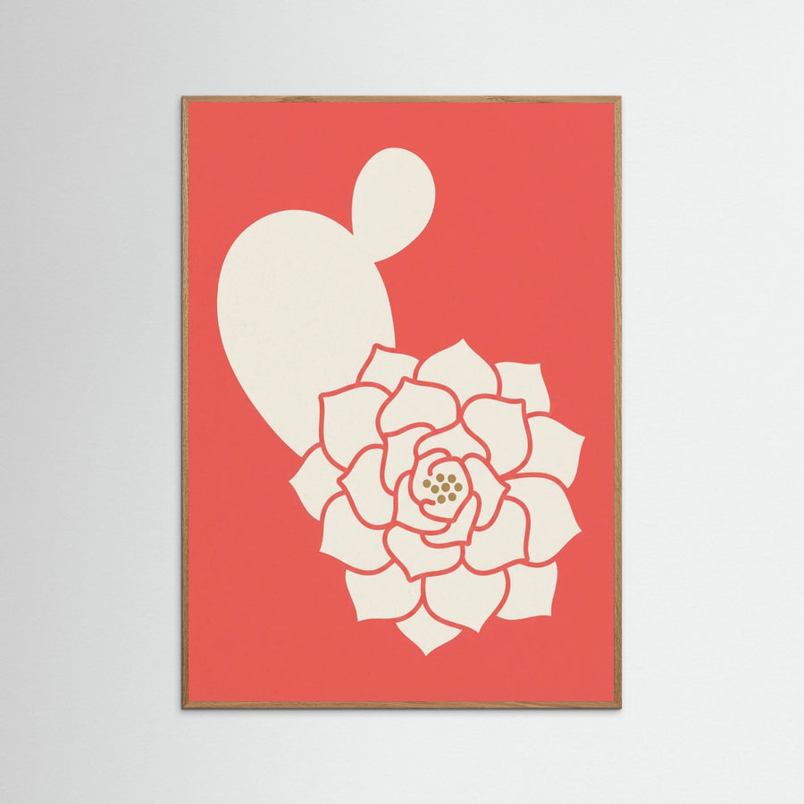 Coral Bloom