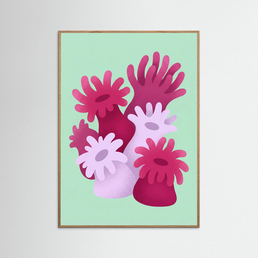 Coral Bloom