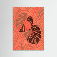 Coral Contemplation