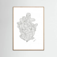 Oak Nature Coral Jpeg Poster