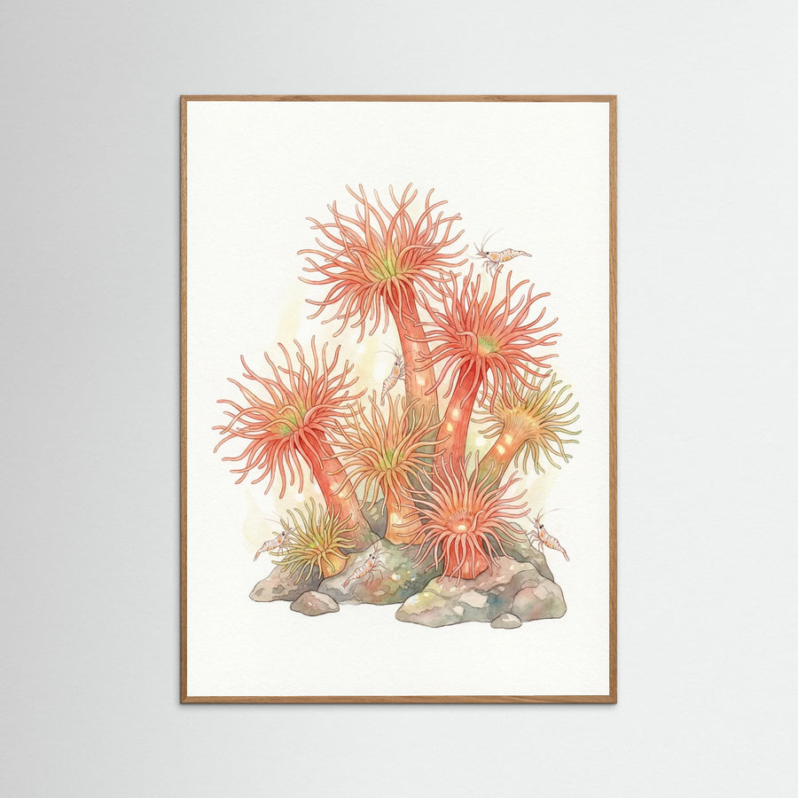 Coral Reef Dance