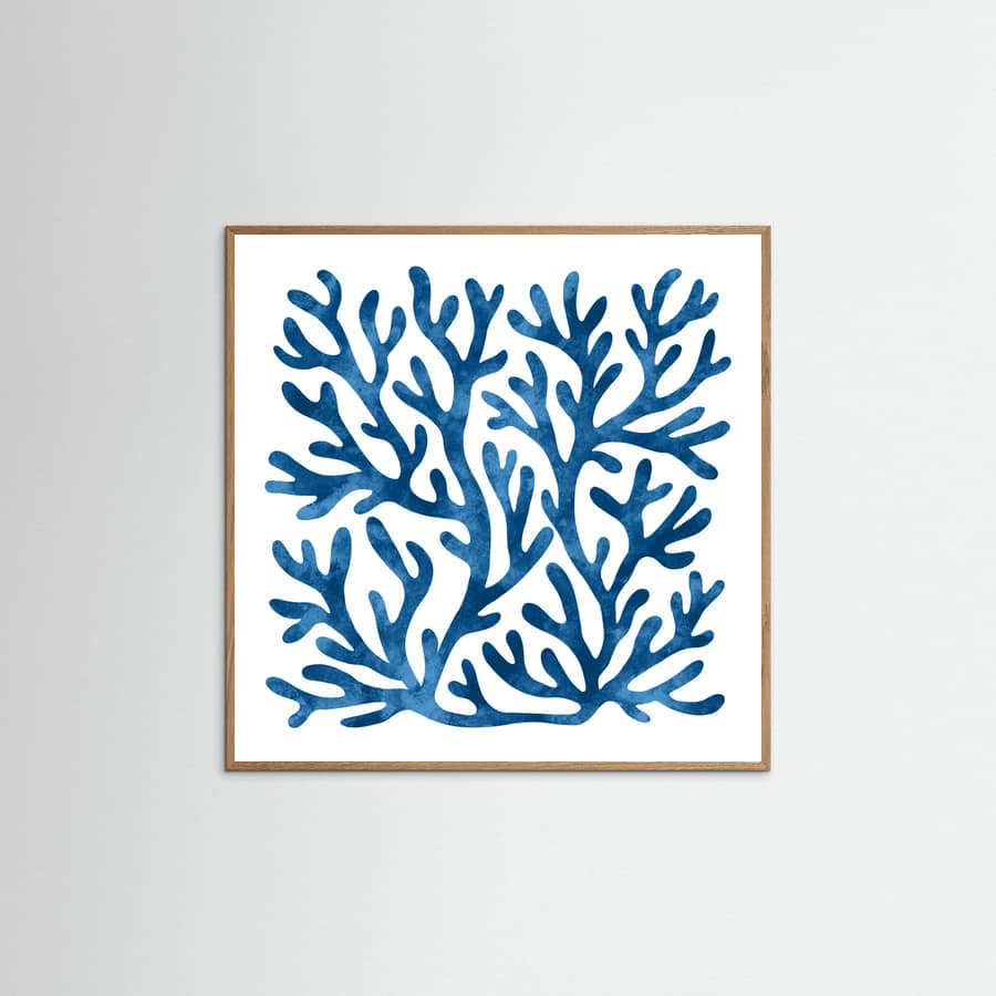 Poster Coral square