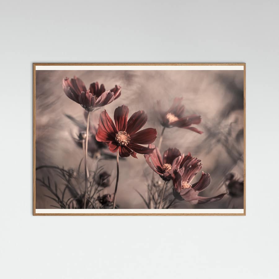 Plakat Cosmos 2019 – plakat i druk artystyczny