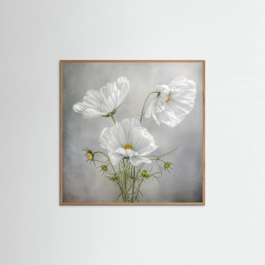 Cosmos Charm Poster – poster and art print