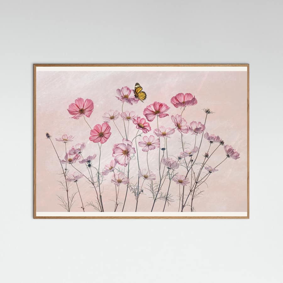 Cosmos and Butterfly Poster – plakat og kunsttryk