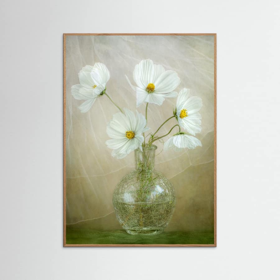 Plakat Cosmos breeze – plakat i druk artystyczny