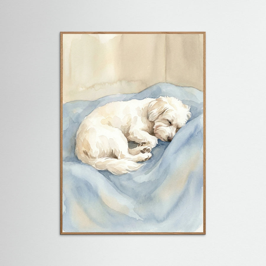 Cozy Slumber