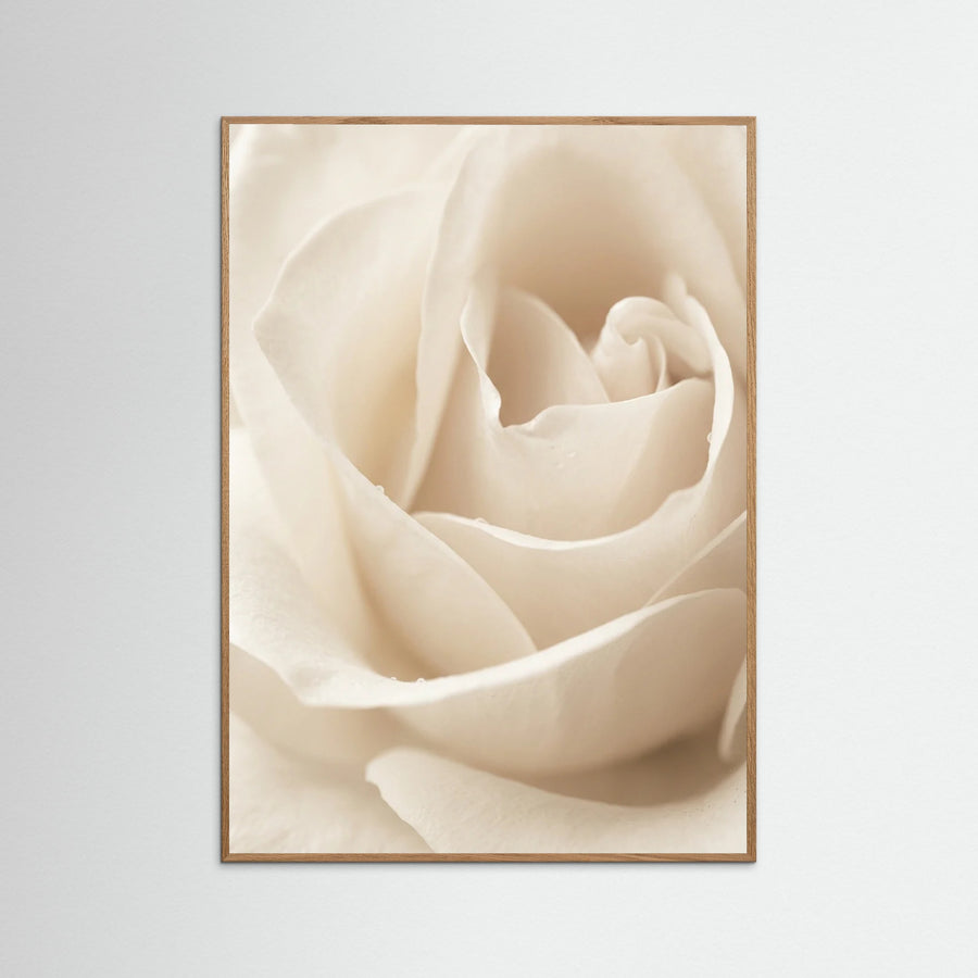 Creamy Blooms