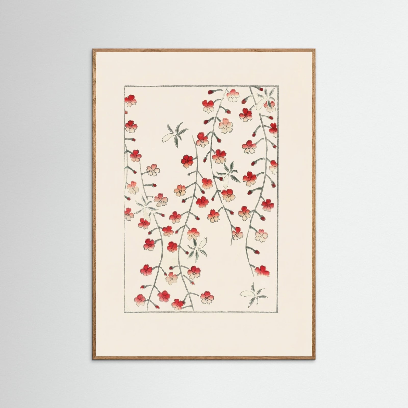 Oak Nature Crimson Botanical Cascade