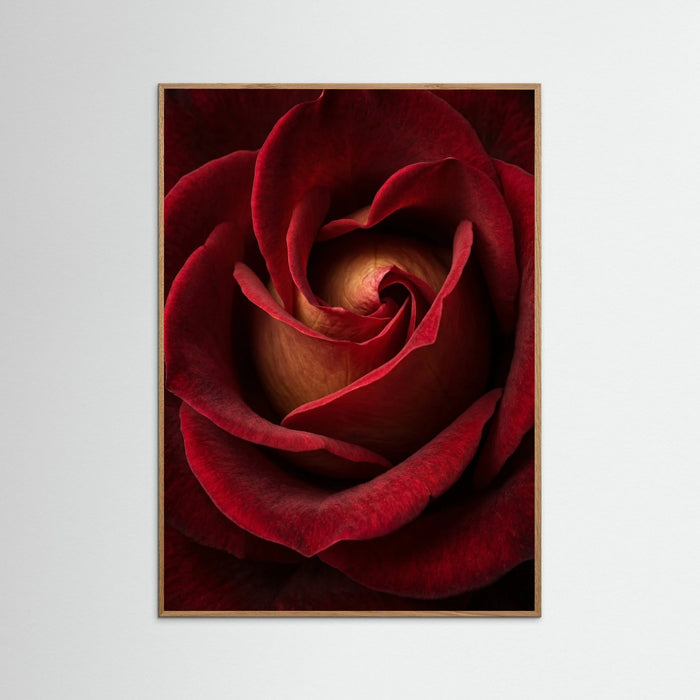 Oak Nature Crimson Embrace