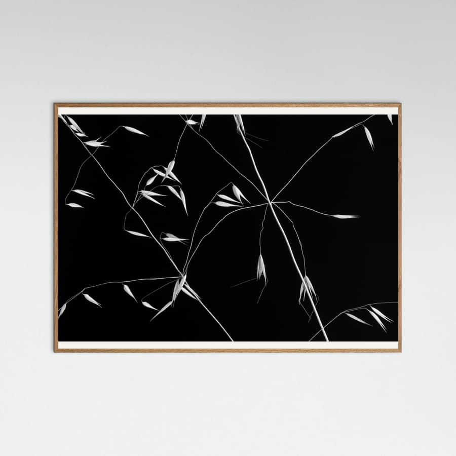 Crossed Lines -juliste – juliste ja taidepainatus