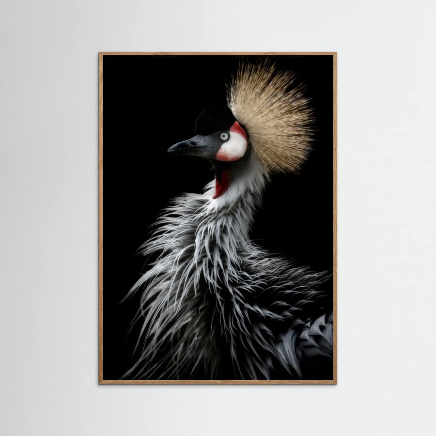 Plakat Crowned crane's portrait – plakat i druk artystyczny