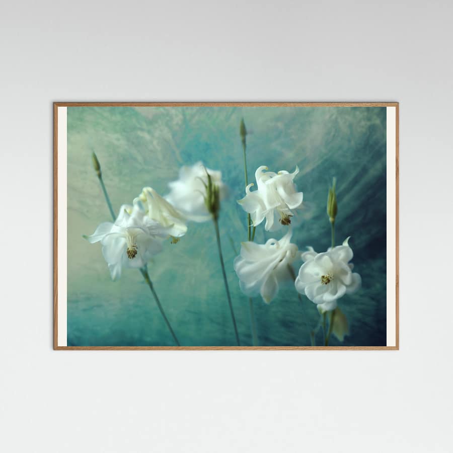 Crowns of Thorns Poster – poster and art print