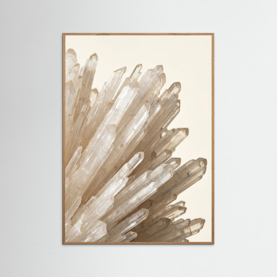 Crystalline Bloom