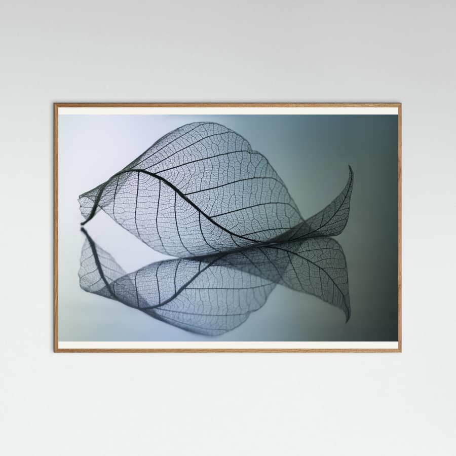 Plakat Curvaceousness – plakat i druk artystyczny