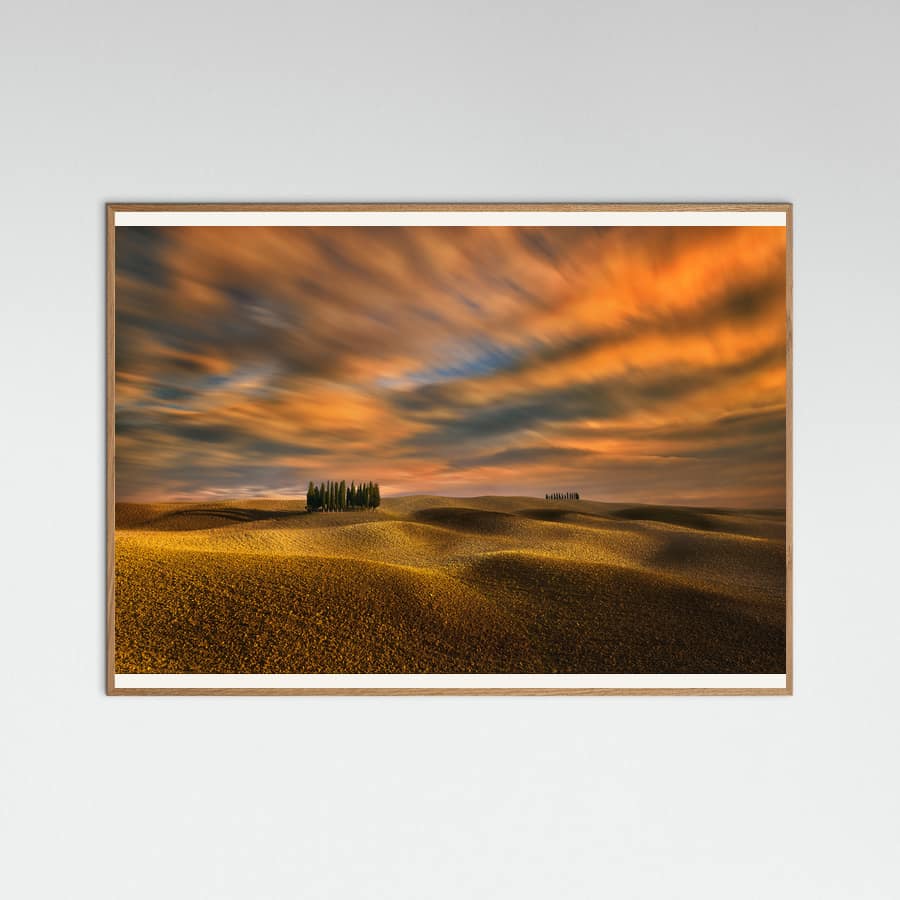 Cypresses... Poster