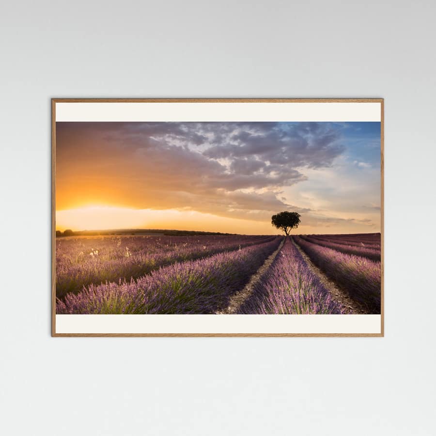 DESTINATION LAVENDER Poster