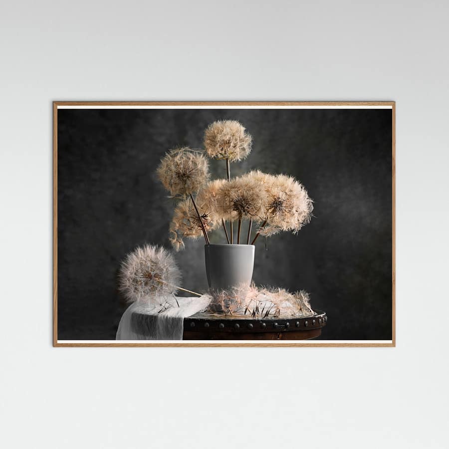 Dandelion Seed Pod Poster