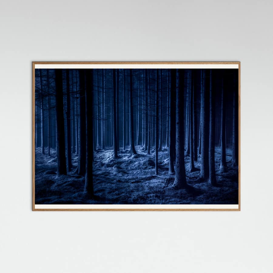Dark Blue Forest Night Poster – plakat og kunsttryk