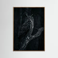 Oak Nature Dark Congregation