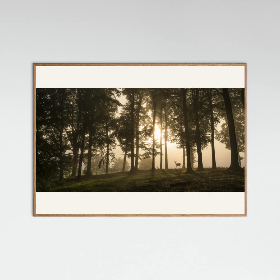 Poster Deer in the morning mist.