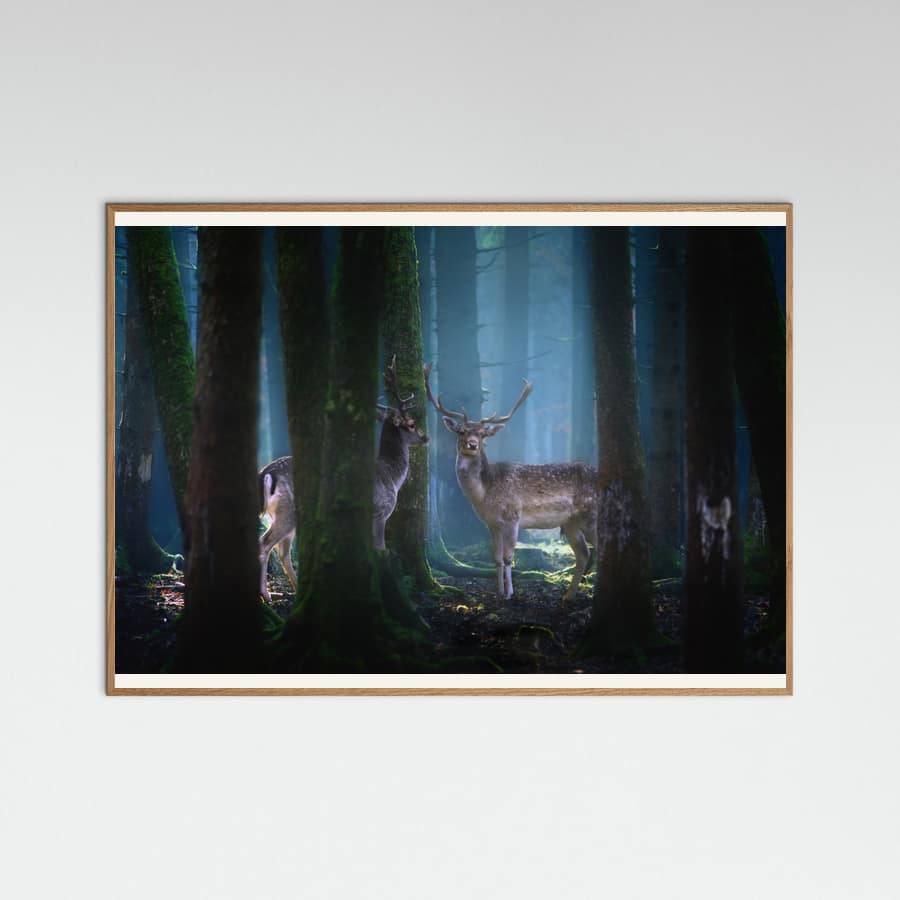 Plakat Deers – plakat i druk artystyczny