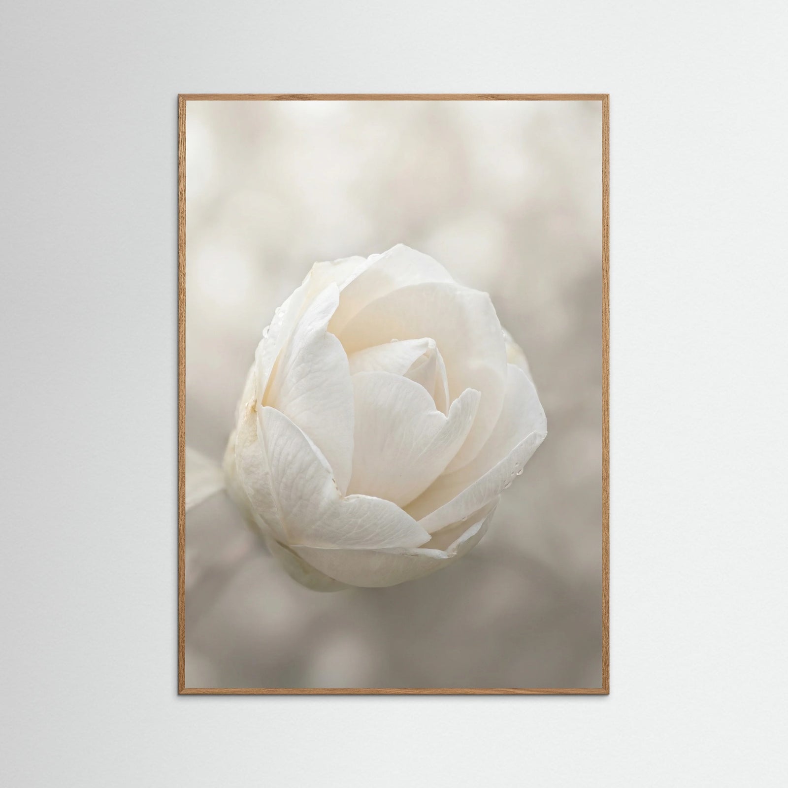 Oak Nature Delicate Floral Bloom