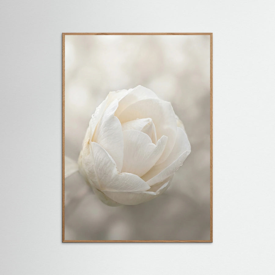 Delicate Floral Bloom