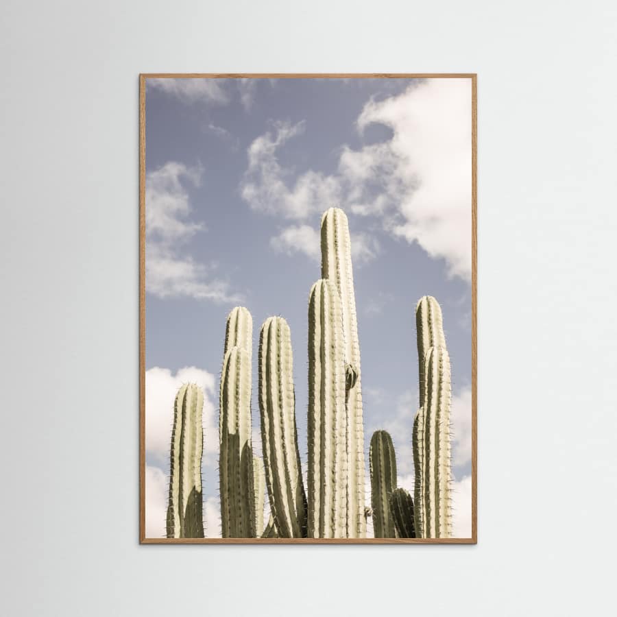 Desert Cathedral No2 Poster