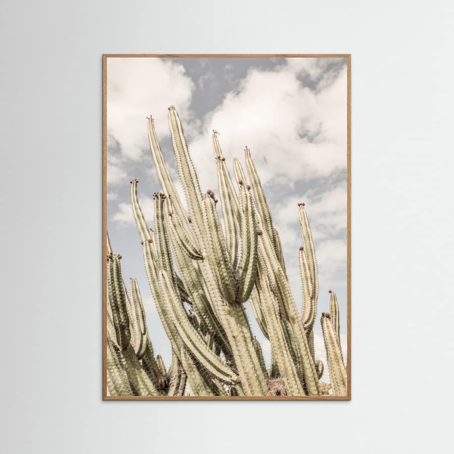 Desert Cathedral Poster – plakat og kunsttryk
