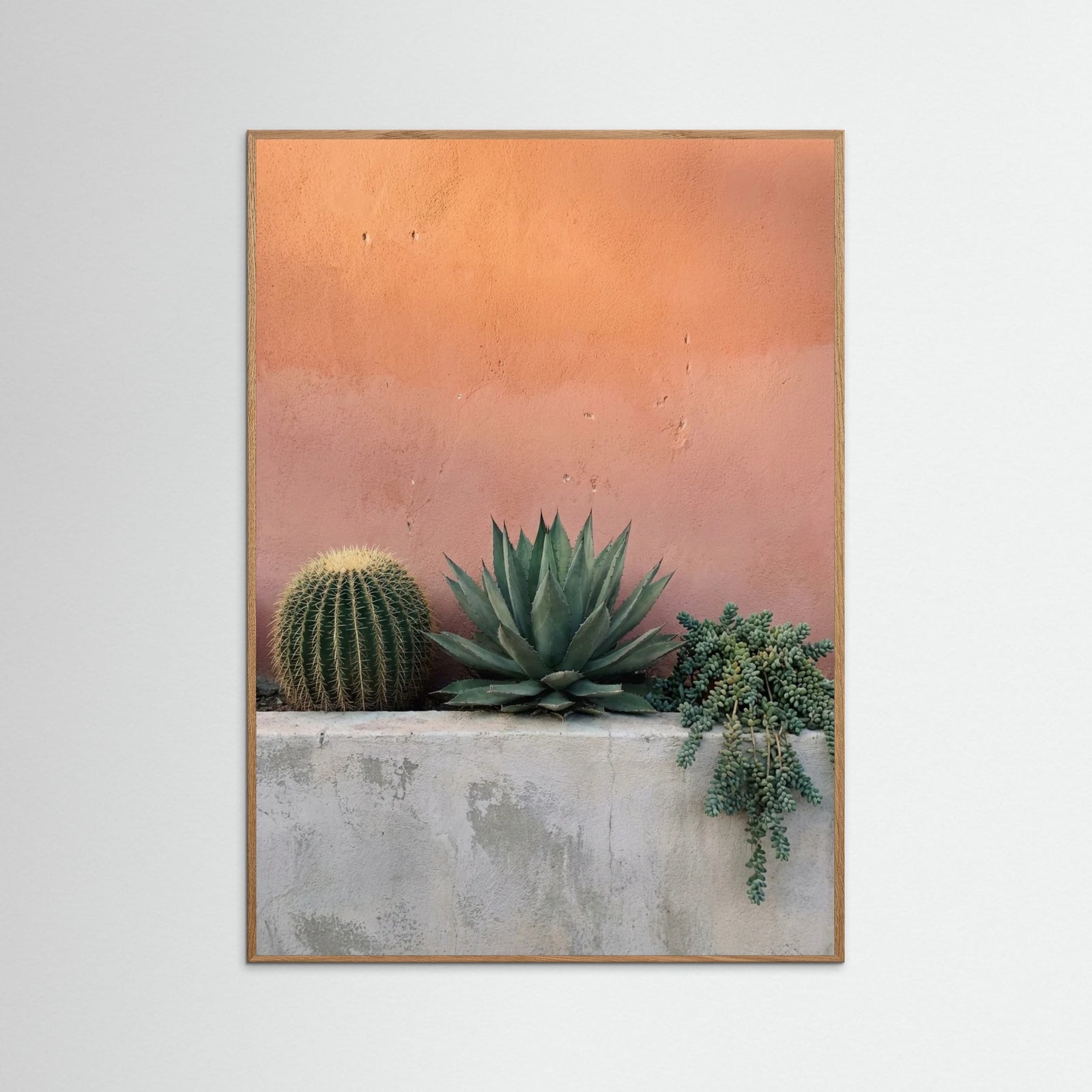 Oak Nature Desert Sentinel