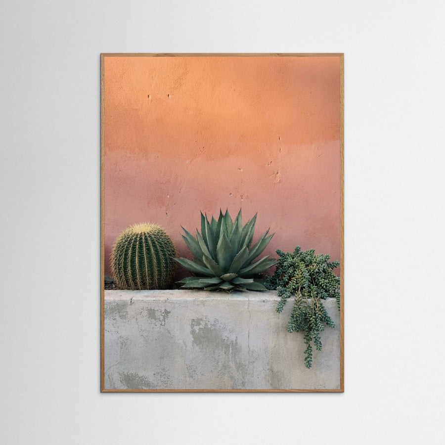 Desert Sentinel