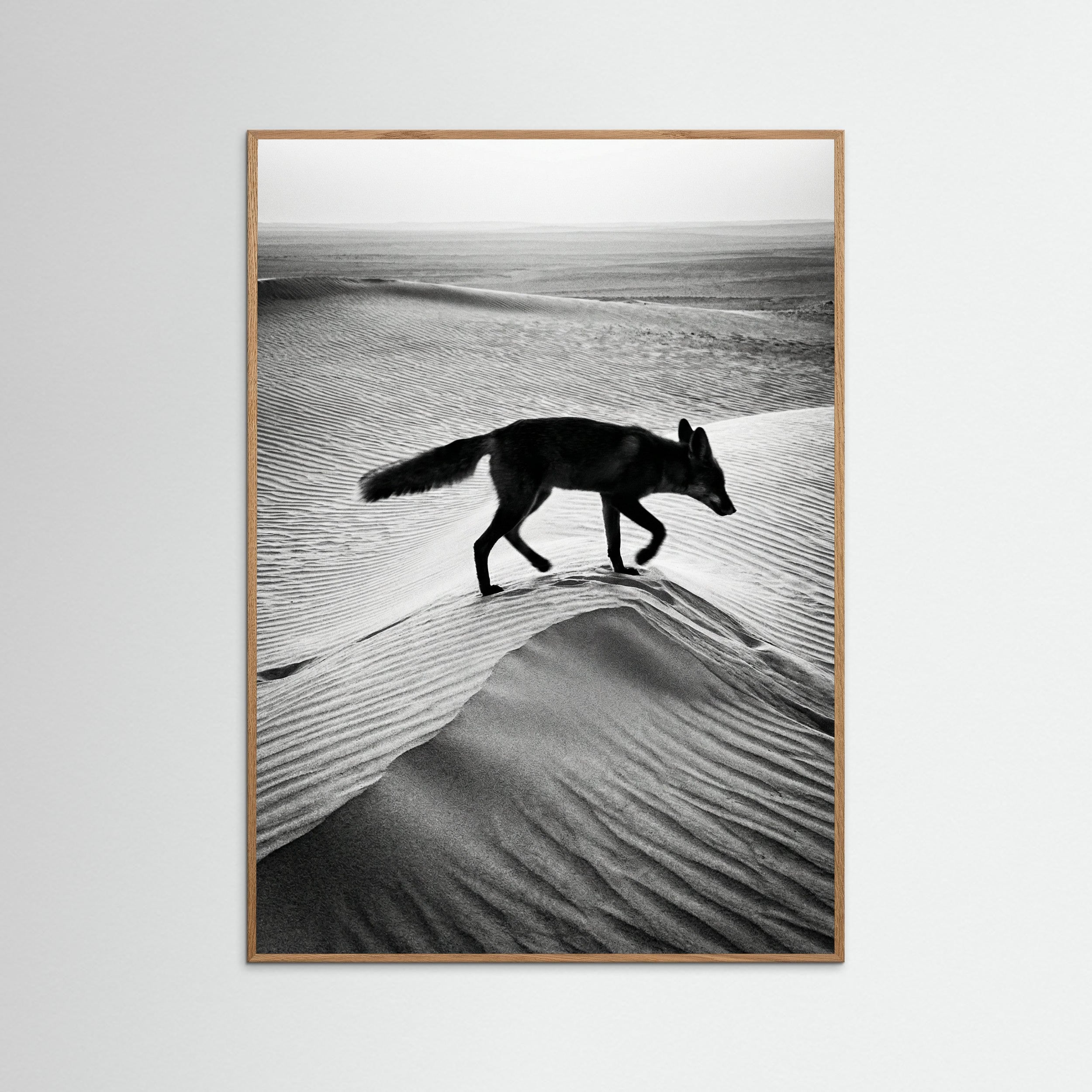 Oak Nature Desert Spirit