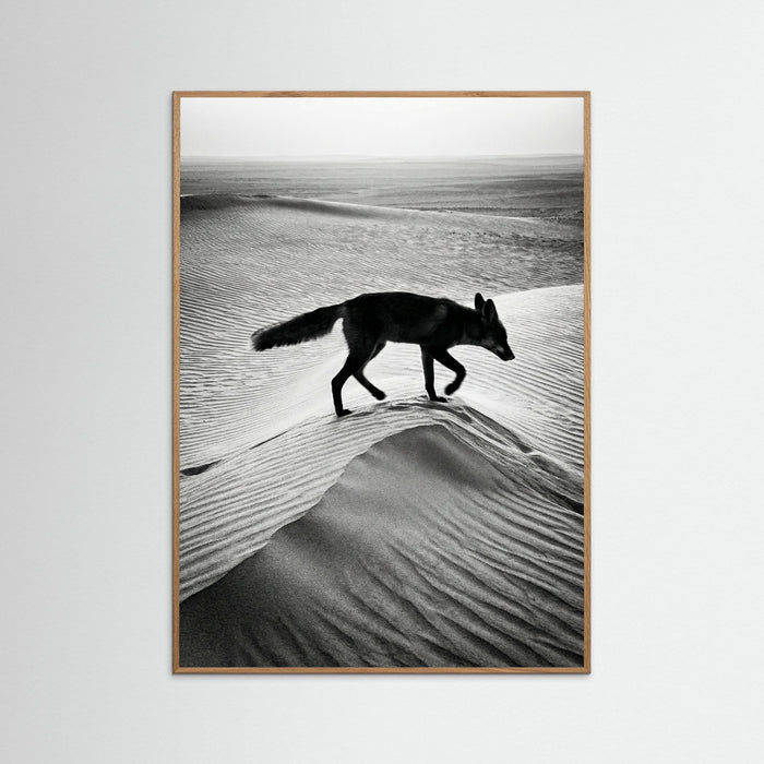 Oak Nature Desert Spirit