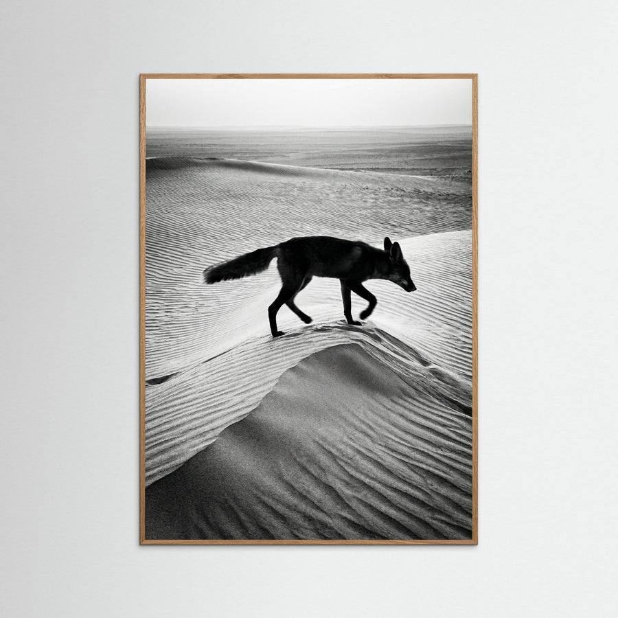 Desert Spirit