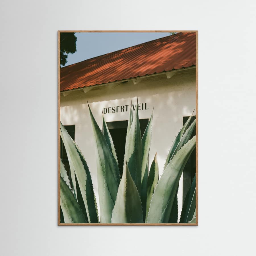Desert Veil Poster
